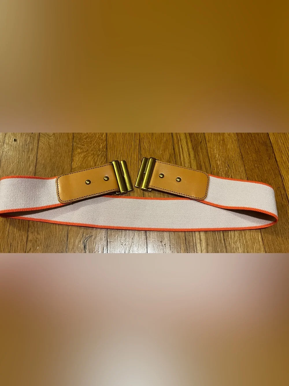 Fossil Beige Elastic Belt with Tan Leather and Gold-Tone Buckle